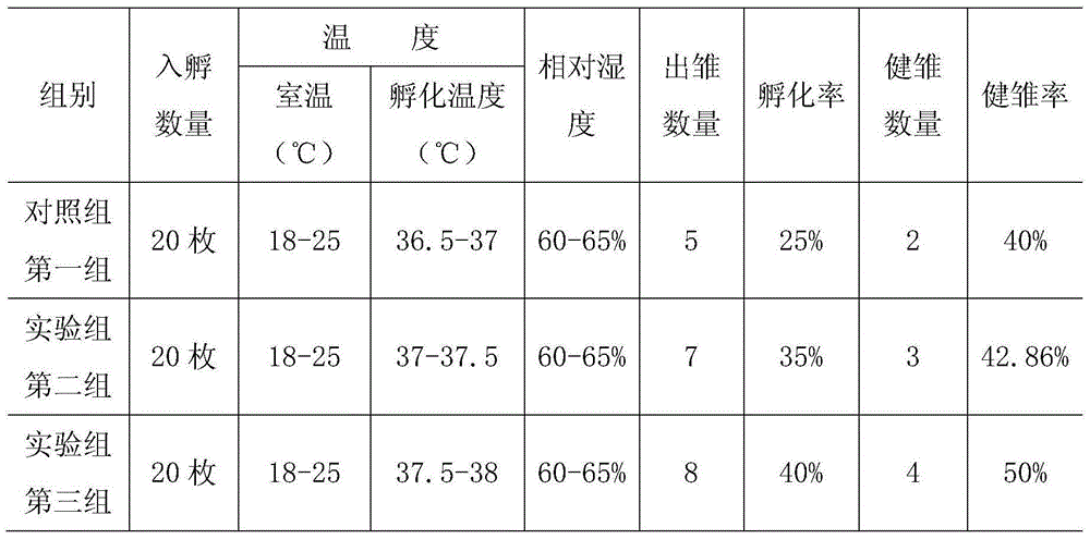 Artificial breeding method for tetraogallus tibetanus under high-altitude environment