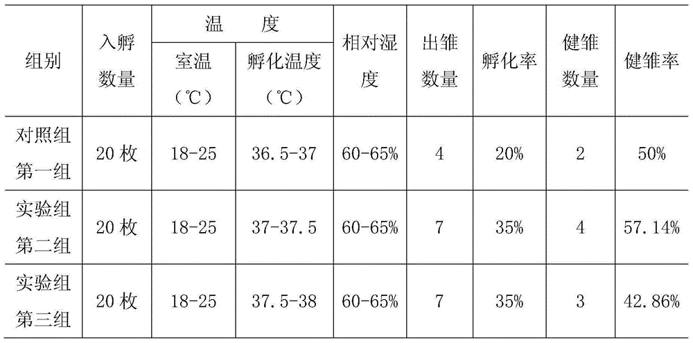 Artificial breeding method for tetraogallus tibetanus under high-altitude environment