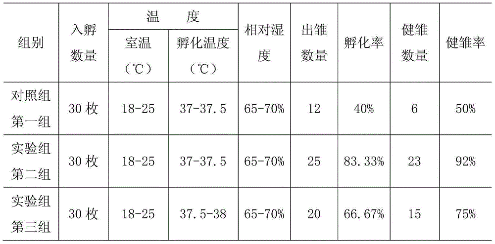 Artificial breeding method for tetraogallus tibetanus under high-altitude environment