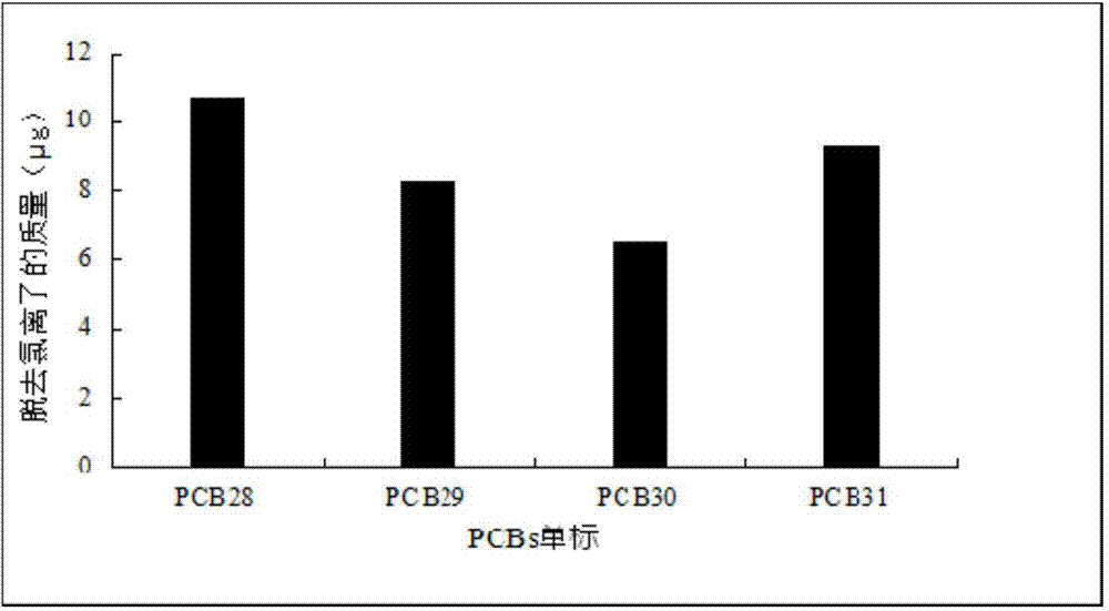 Nostoc sp. capable of high-efficiency degradation of polychlorinated biphenyl and application thereof