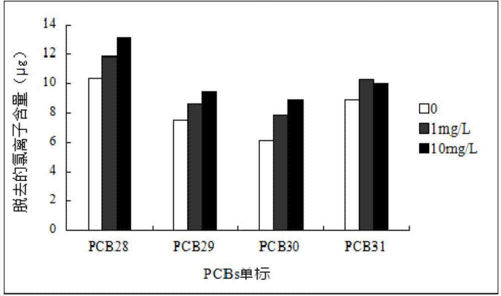 Nostoc sp. capable of high-efficiency degradation of polychlorinated biphenyl and application thereof