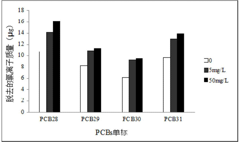 Nostoc sp. capable of high-efficiency degradation of polychlorinated biphenyl and application thereof