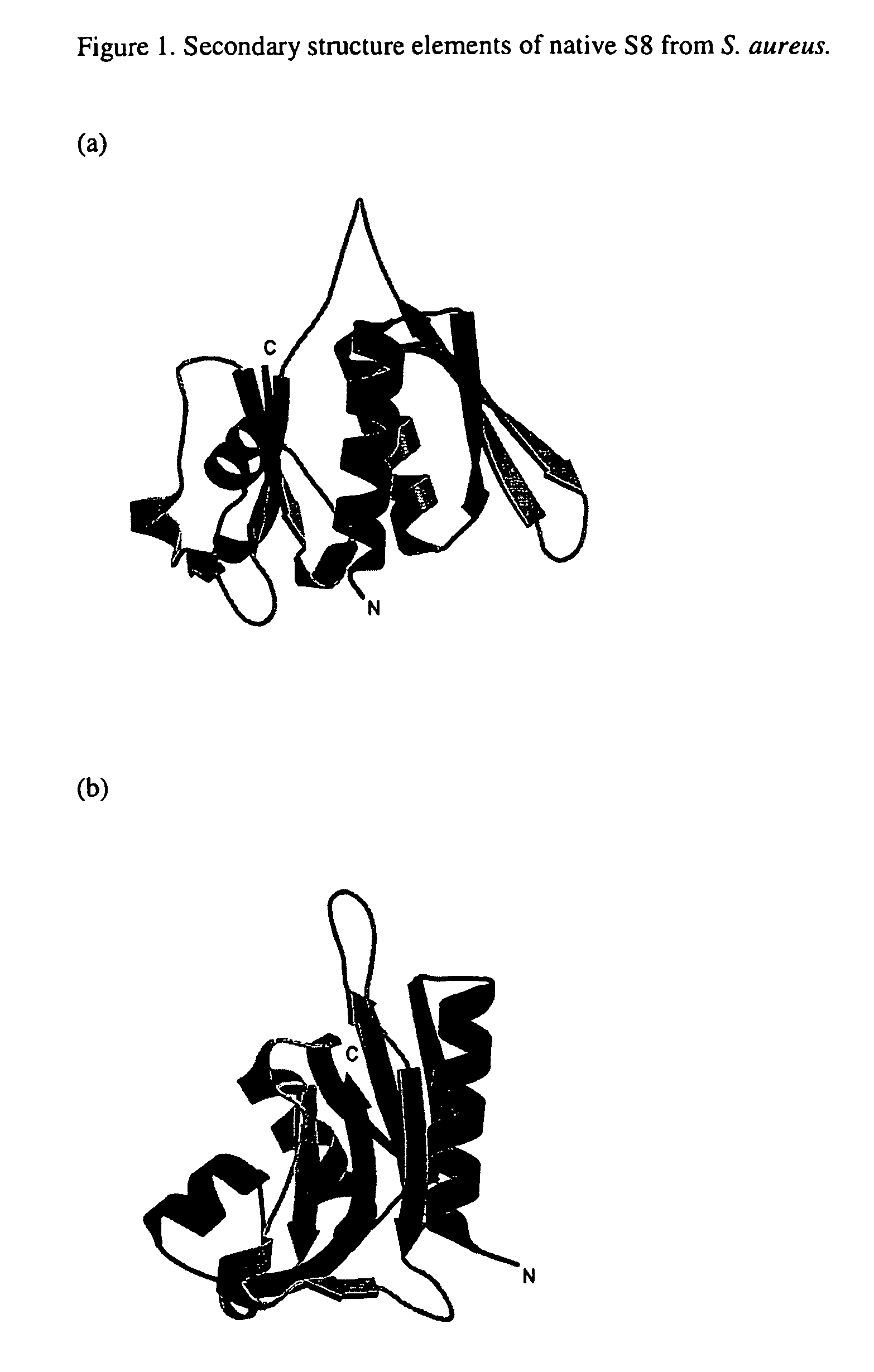 S8 rRNA-binding protein from the small ribosomal subunit of <i>Staphylococcus aureus</i>