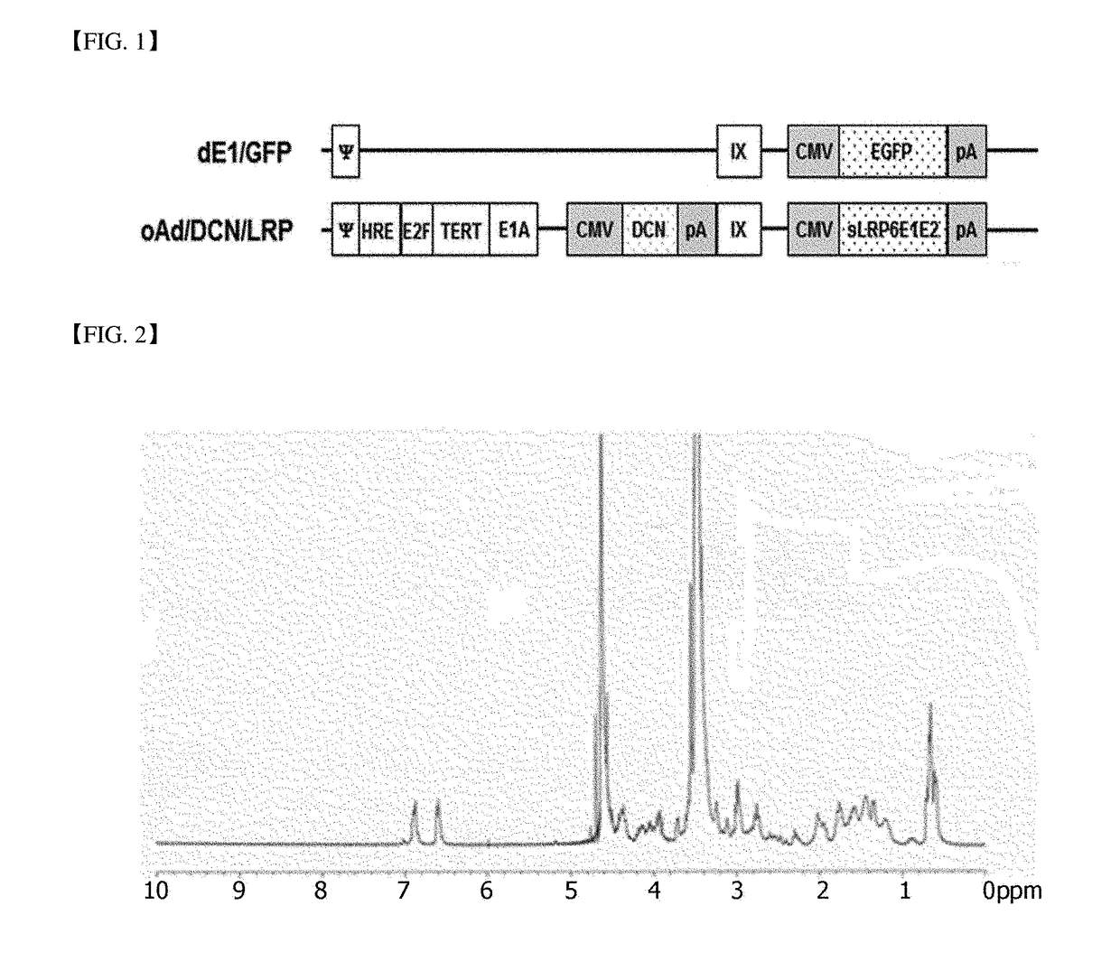 Adenovirus complex for gene delivery and gene therapy