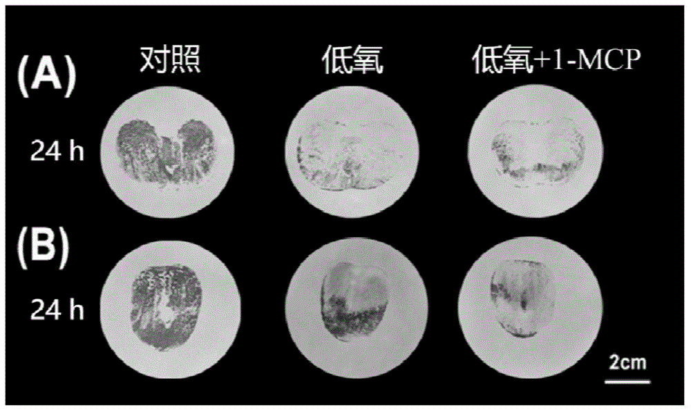 Persimmon fruit deastringenting and preserving method