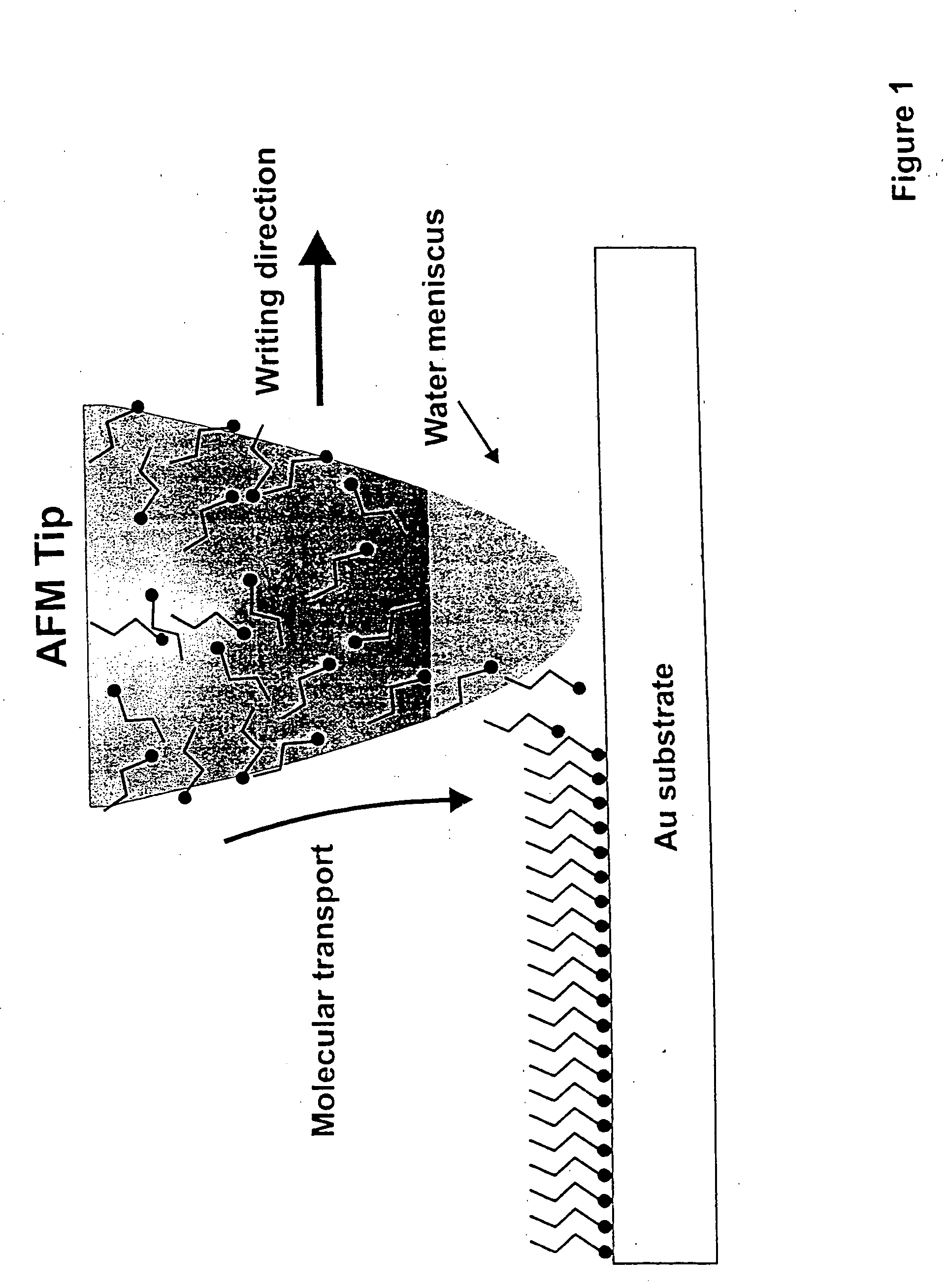 Methods utilizing scanning probe microscope tips and products thereof or produced thereby