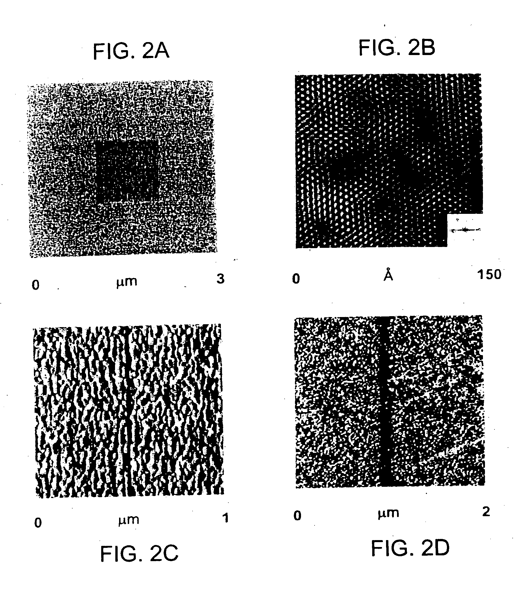 Methods utilizing scanning probe microscope tips and products thereof or produced thereby