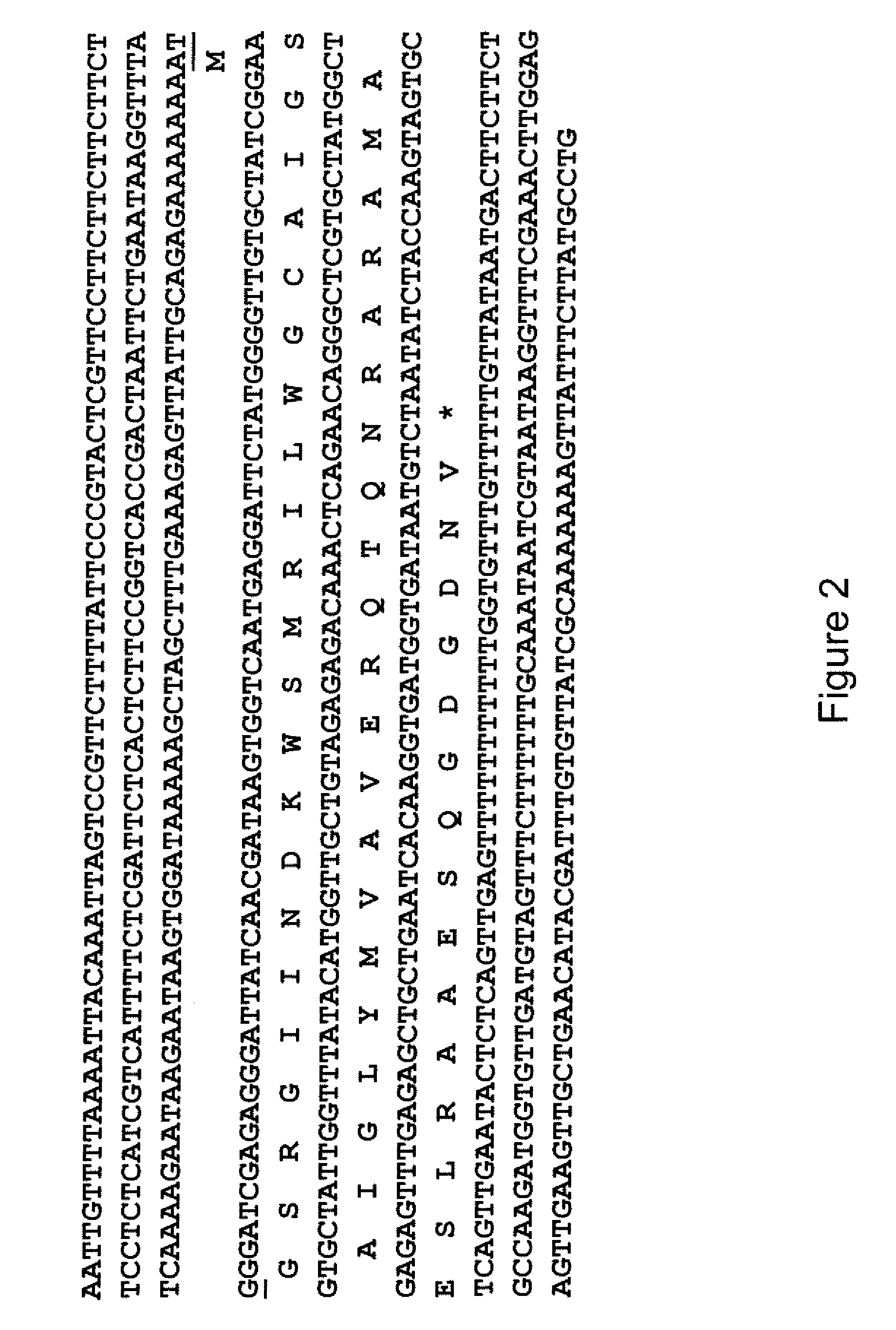 Hrpn interactors and uses thereof