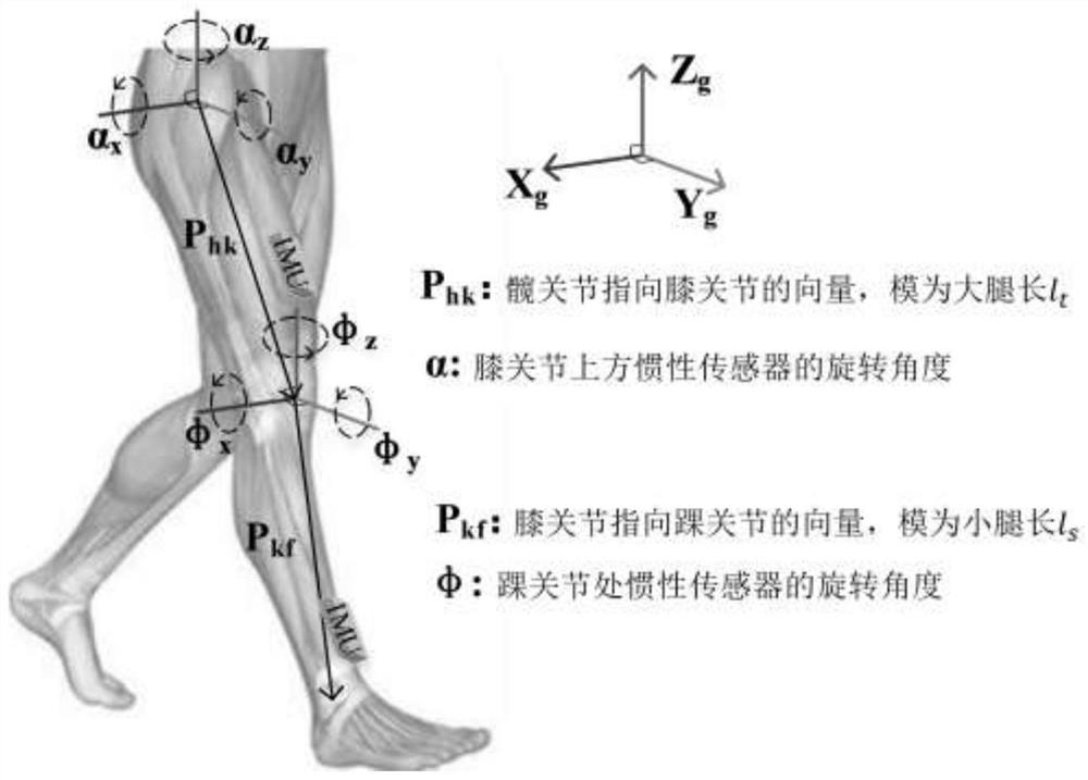 Three-dimensional gait analysis system and method based on inertial sensor