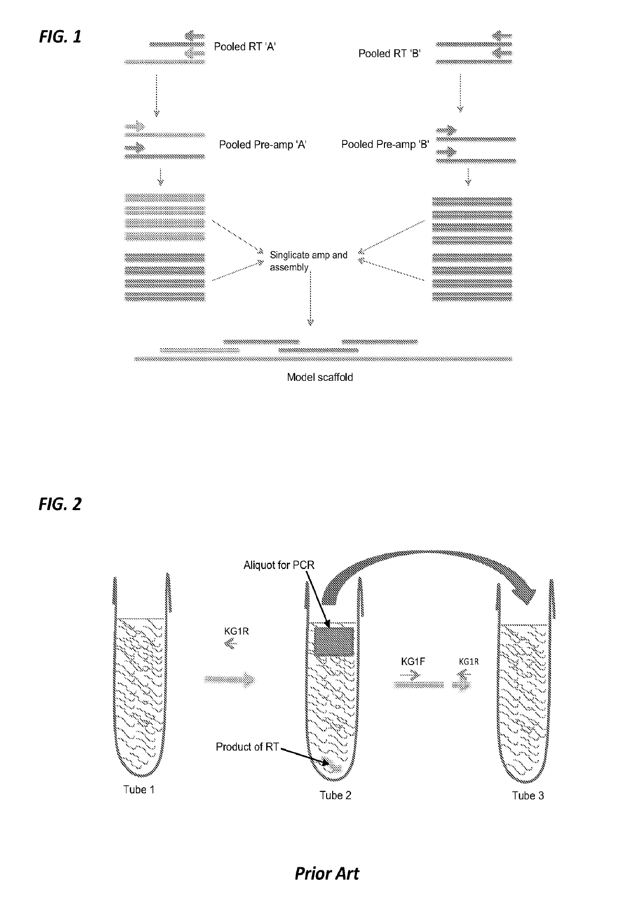 Methods and systems for RNA or DNA detection and sequencing