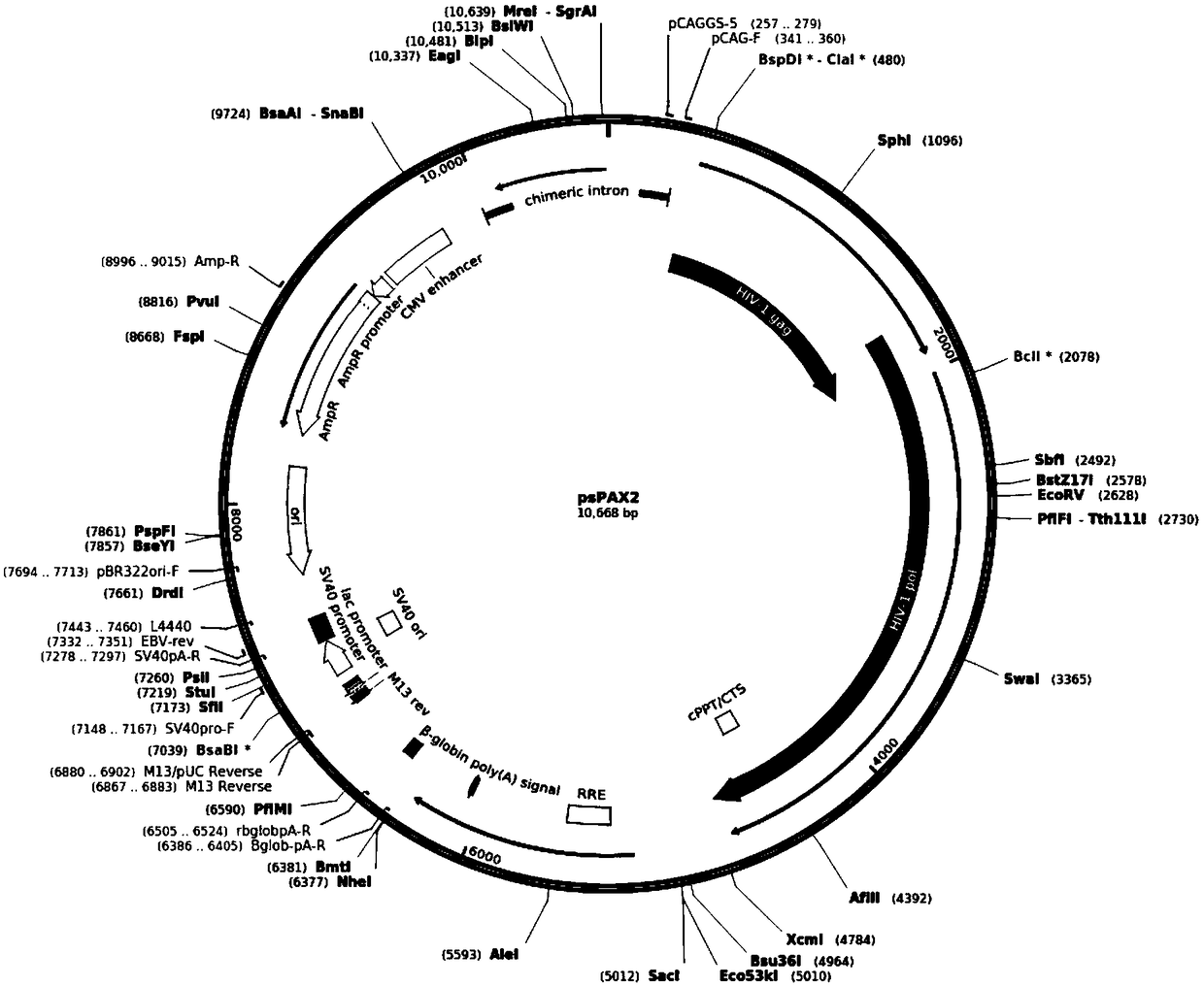 MDCK-KOmavs cell line suitable for proliferating canine distemper virus and avian influenza virus, and application thereof