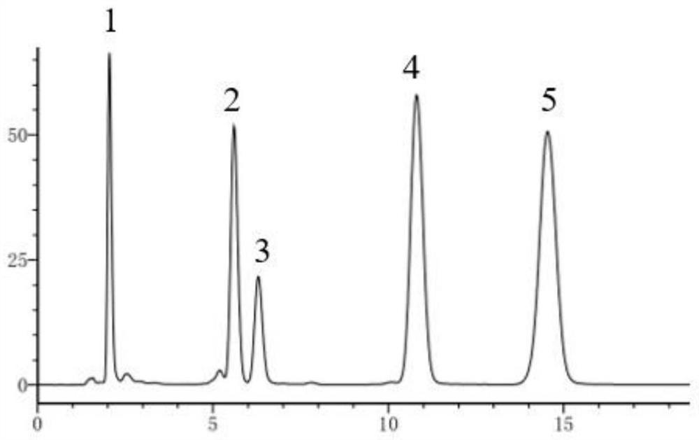 Extraction method and application of A.aequalis endophytic fungi as well as secondary metabolites of A.aequalis endophytic fungi