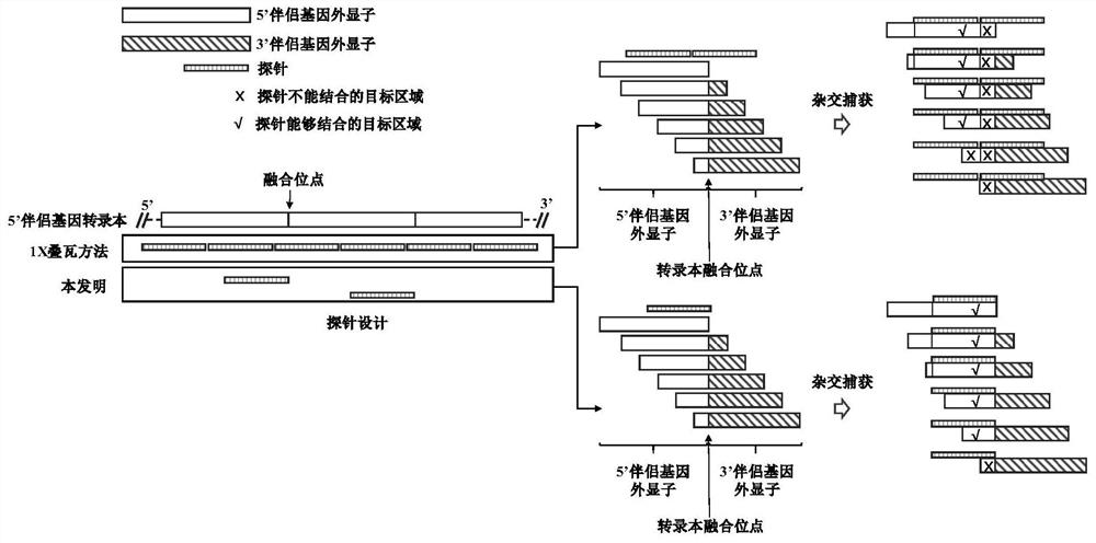 Targeted Sequencing Methods for Detecting Gene Fusions