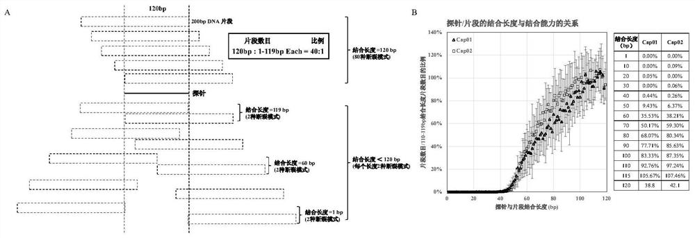 Targeted Sequencing Methods for Detecting Gene Fusions