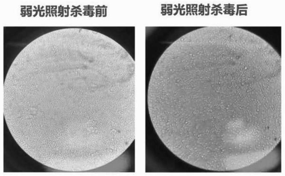 Mask capable of resisting bacteria and killing viruses based on dim light catalysis and derivative coating material