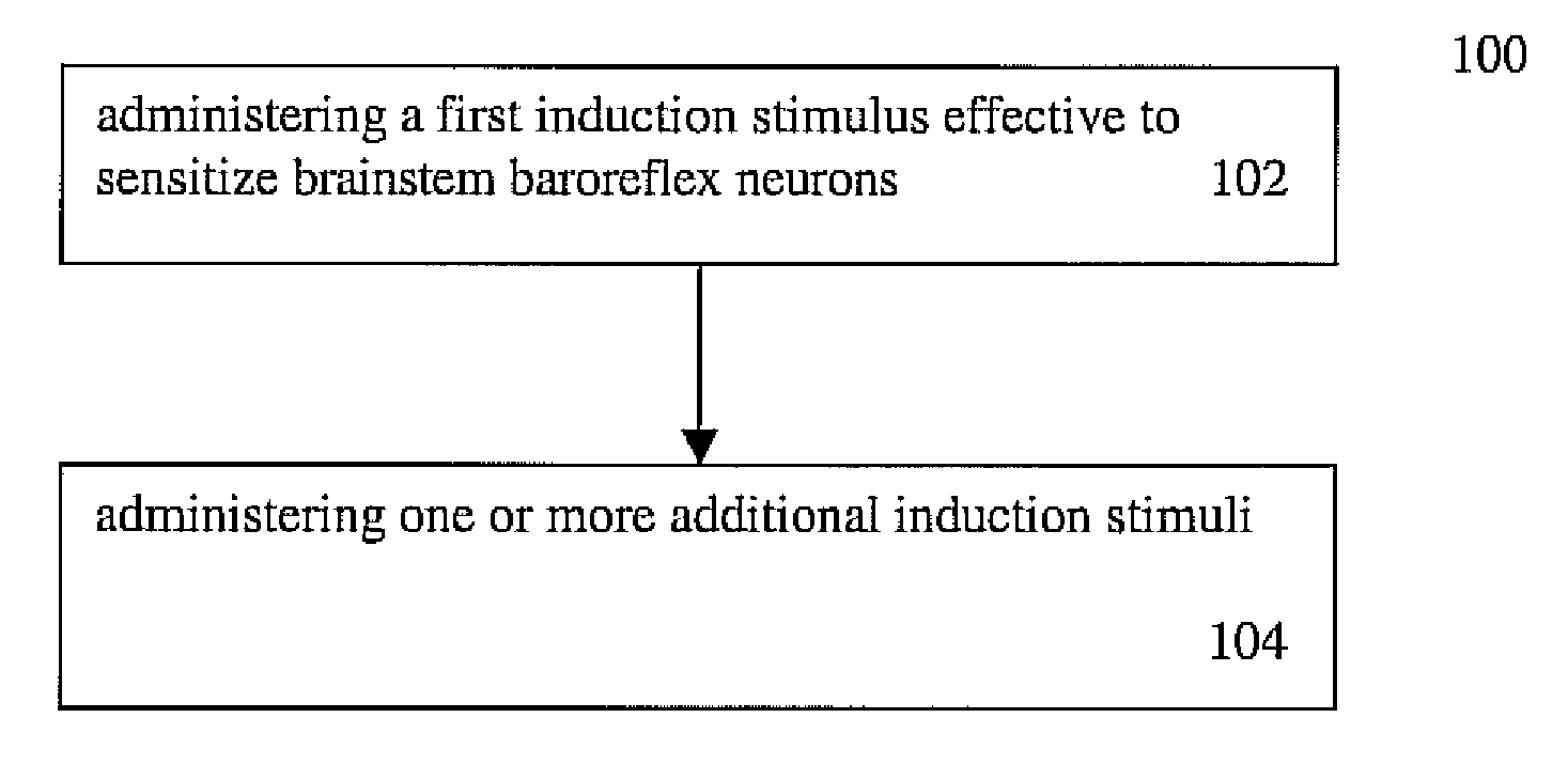 Homotopic conditioning of the brain stem baroreflex of a subject