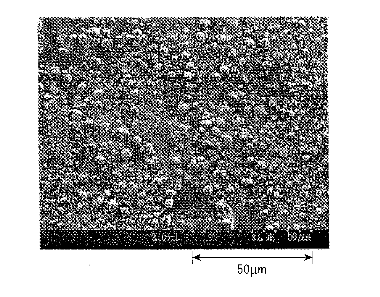 Method for processing member having excellent chemical conversion treatability