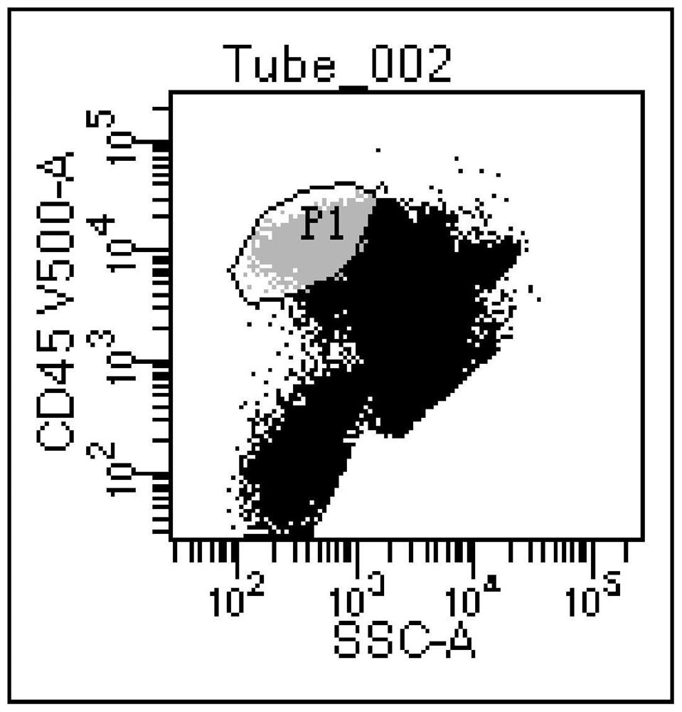 Composition for detecting tumor residues of mother cell plasma cell-like dendritic cells and application of composition for detecting tumor residues of mother cell plasma cell-like dendritic cells