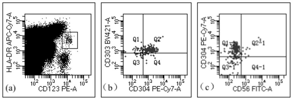 Composition for detecting tumor residues of mother cell plasma cell-like dendritic cells and application of composition for detecting tumor residues of mother cell plasma cell-like dendritic cells