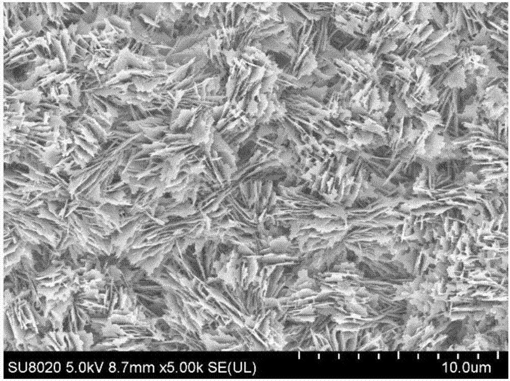 Single-phase CuO nanosheet array film and preparation method thereof