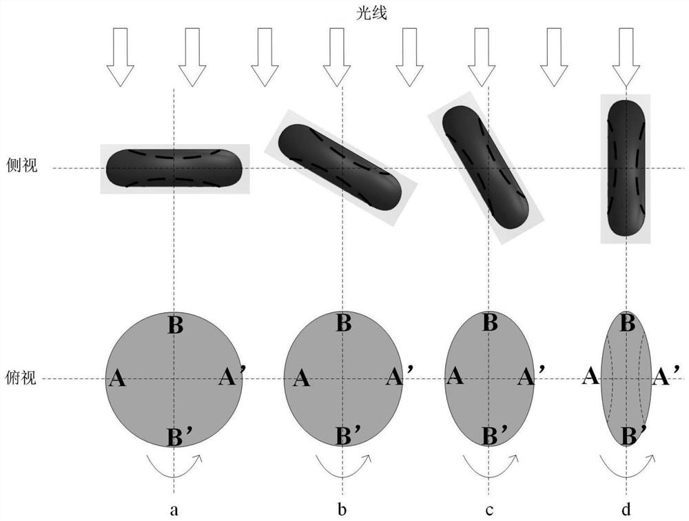 Erythrocyte recognition and posture estimation method based on microfluidic lensless imaging