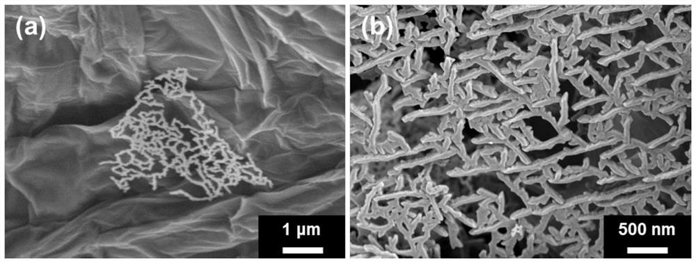 Copper-based graphene aerogel composite catalyst, gas diffusion electrode and application