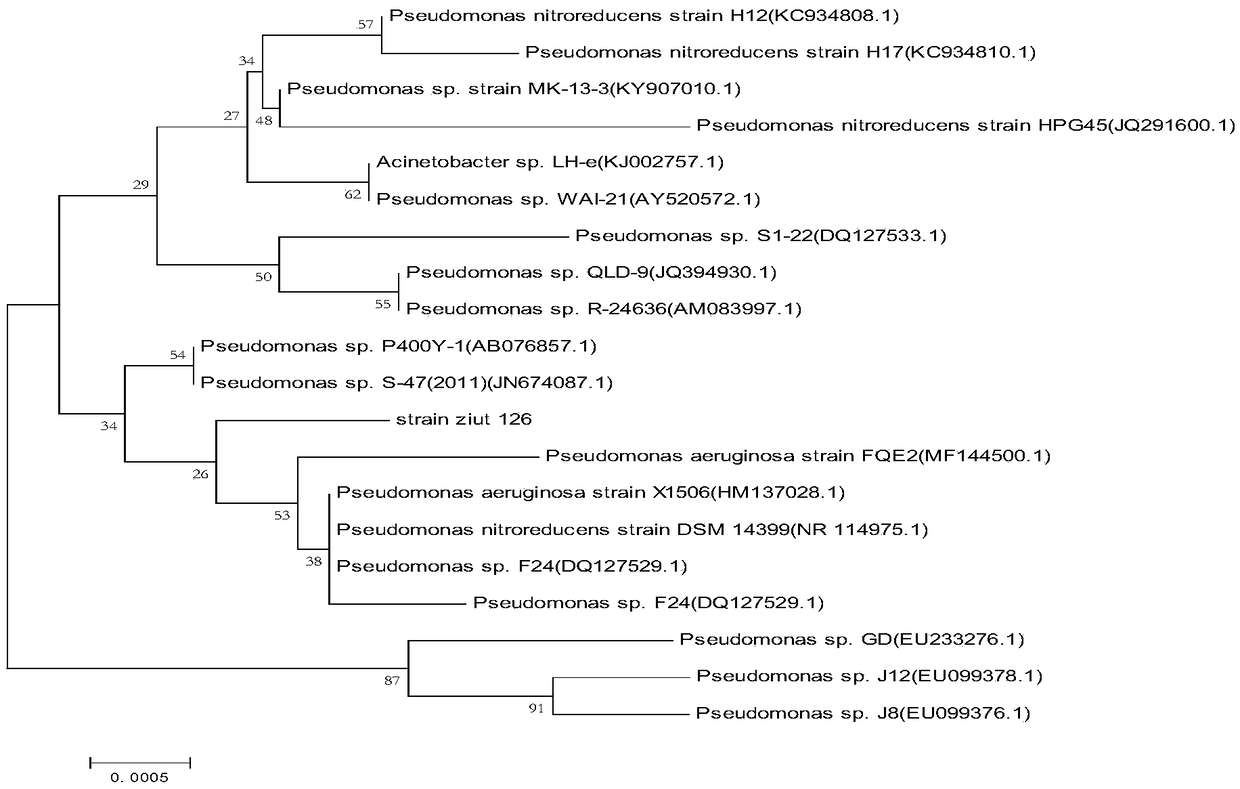 Pseudomonas sp. zjut 126 and application in production of L-glufosinate