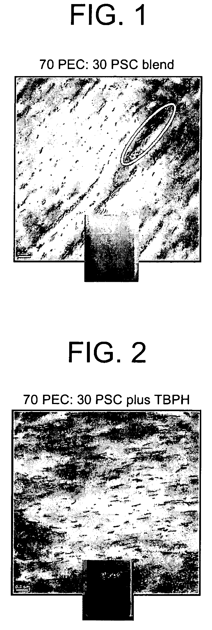 Transparent compositions, methods for the preparation thereof, and articles derived therefrom
