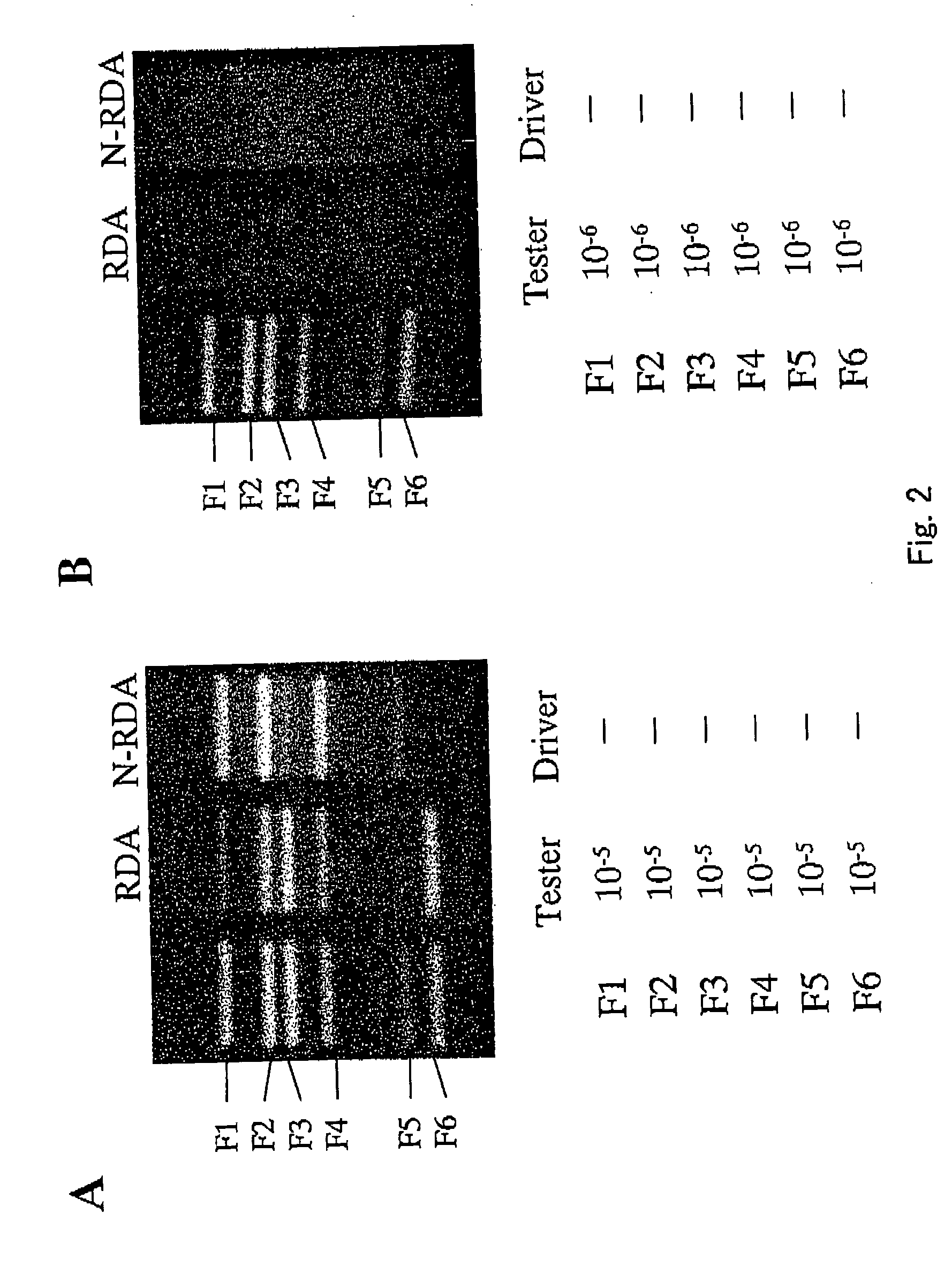 Method of uniformizing dna fragment contents and subtraction method