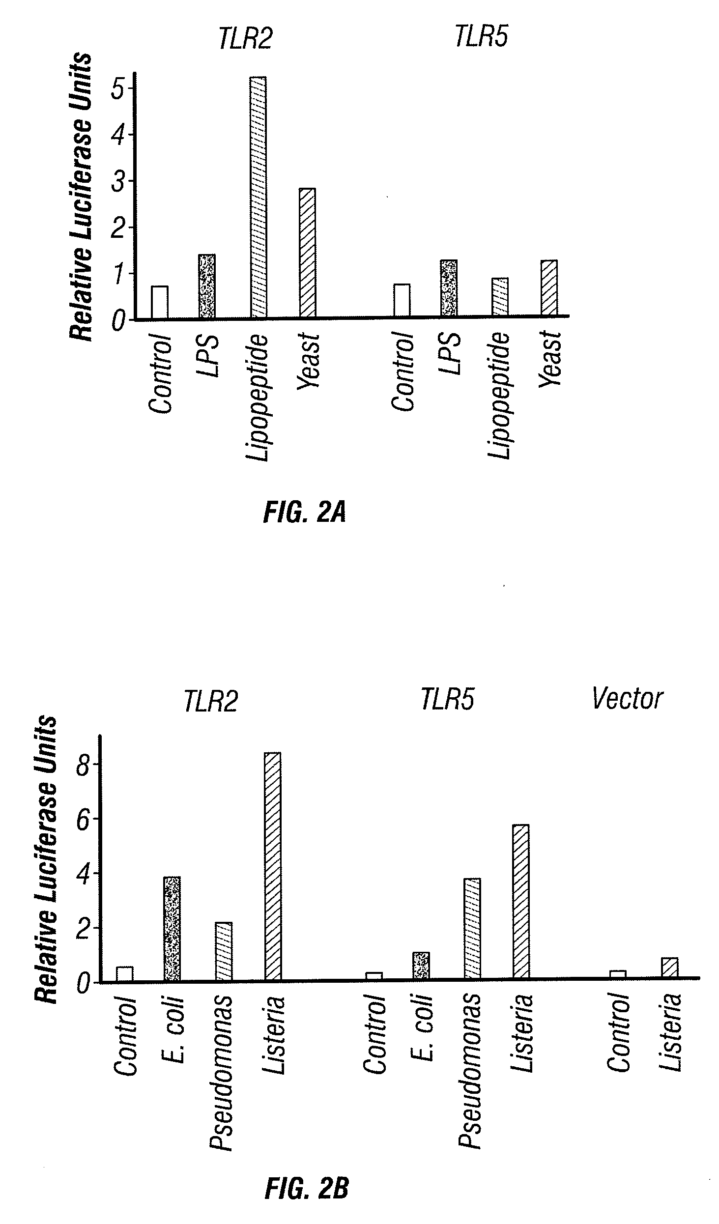 Toll-like receptor 5 ligands and methods of use