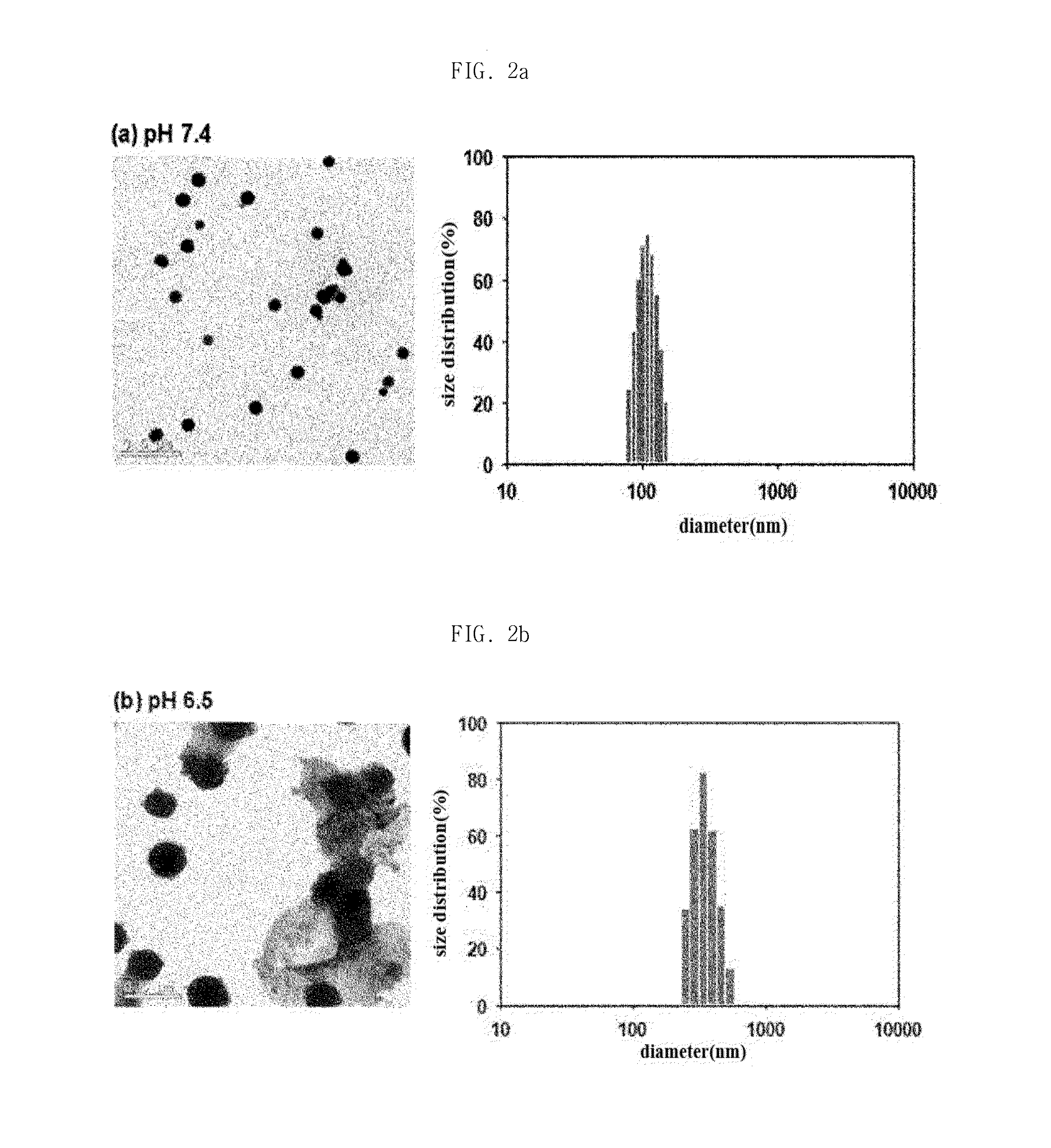 Ph sensitive fluorescent polydiacetylene liposome and delivery vehicle comprising same