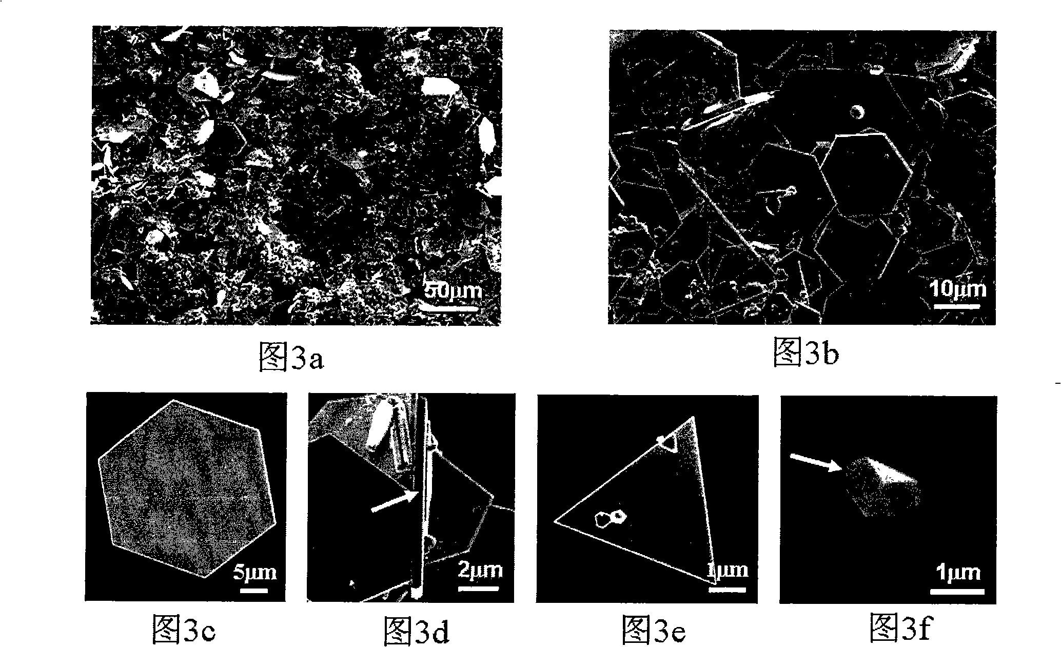 Nano or micron-scale gold disk and preparation method thereof