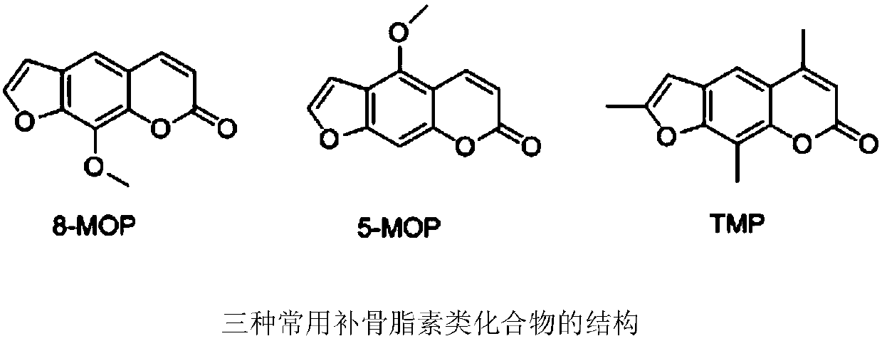 A kind of application of psoralen compound