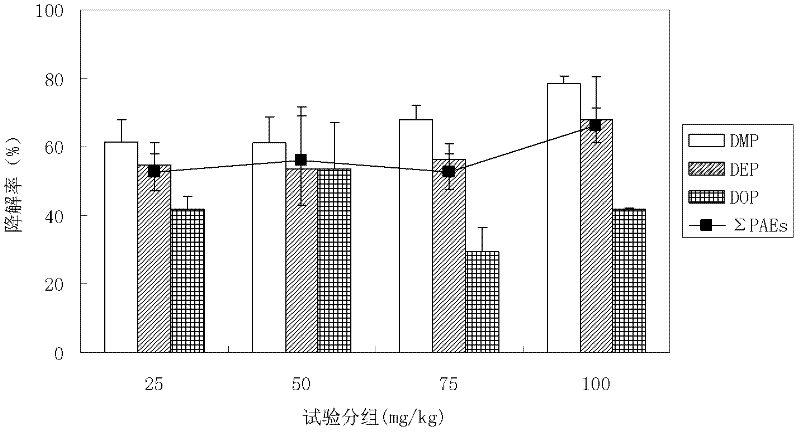 Fungus for degrading phthalate ester and application thereof
