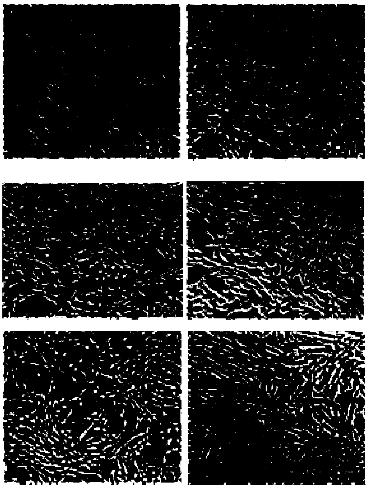 Method for simply preparing placenta mesenchymal stem cell exosome