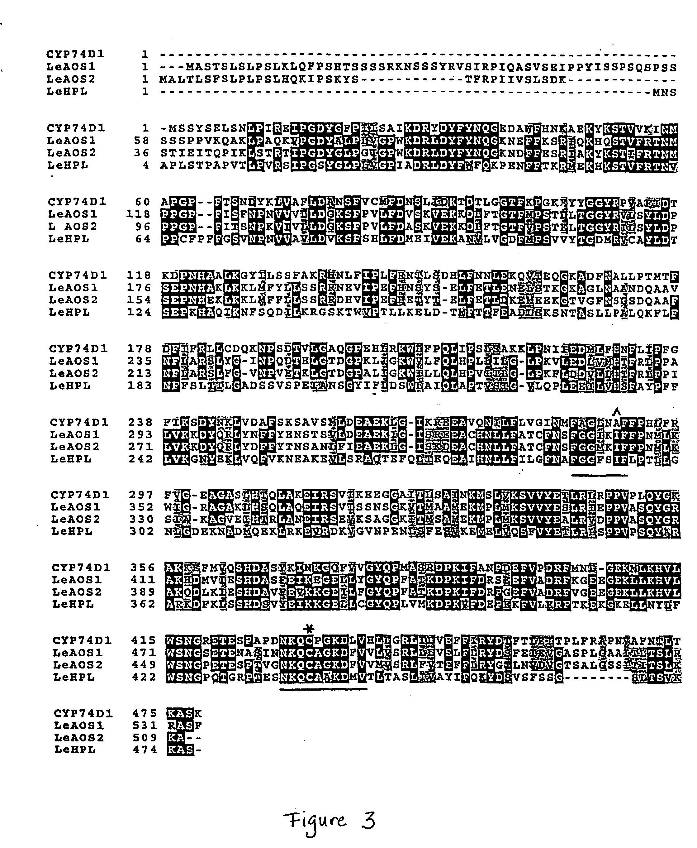 Divinyl ether synthase gene, and protein and uses thereof