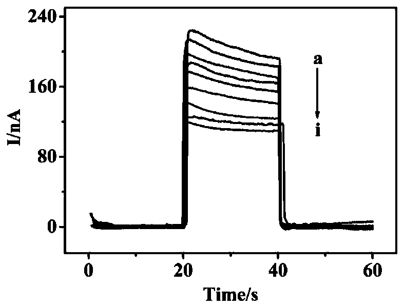 Photoelectric chemical analysis method for detection of 5-hydroxymethylcytosine based on black titanium dioxide