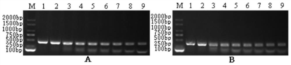 Nested PCR kit and method for detecting double-RNA viruses of micropterus salmoides