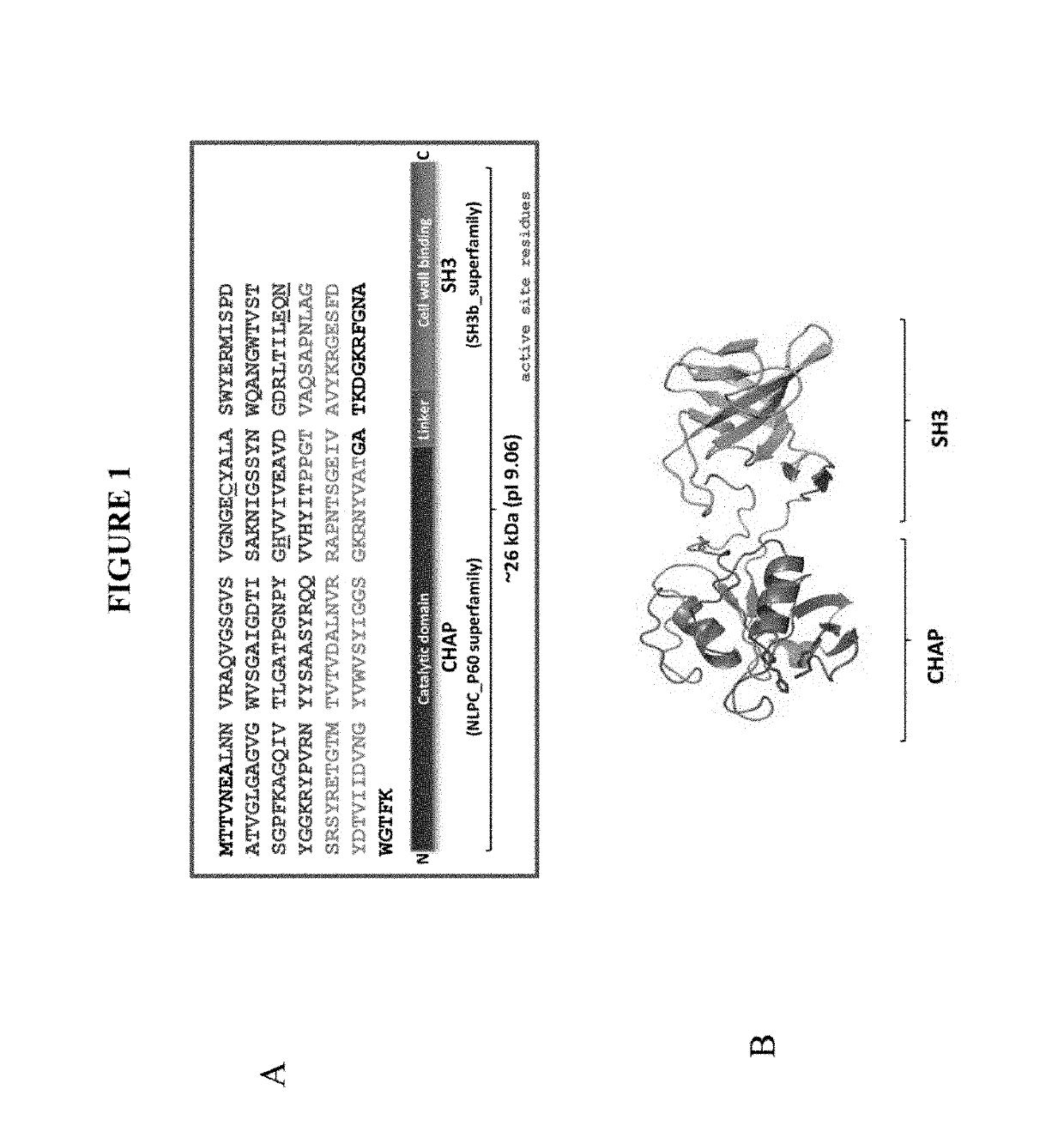 Broth microdilution method for evaluating and determining minimal inhibitory concentration of antibacterial polypeptides