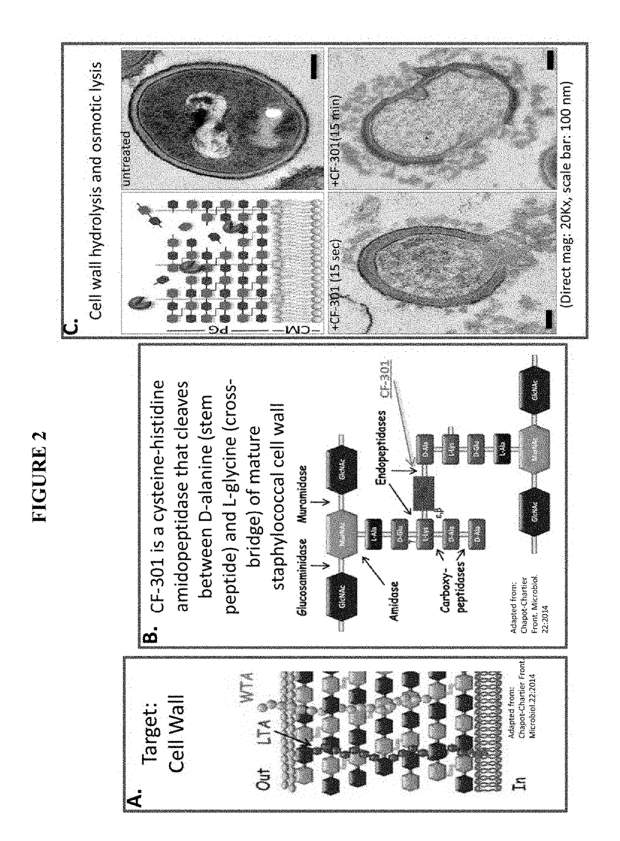 Broth microdilution method for evaluating and determining minimal inhibitory concentration of antibacterial polypeptides