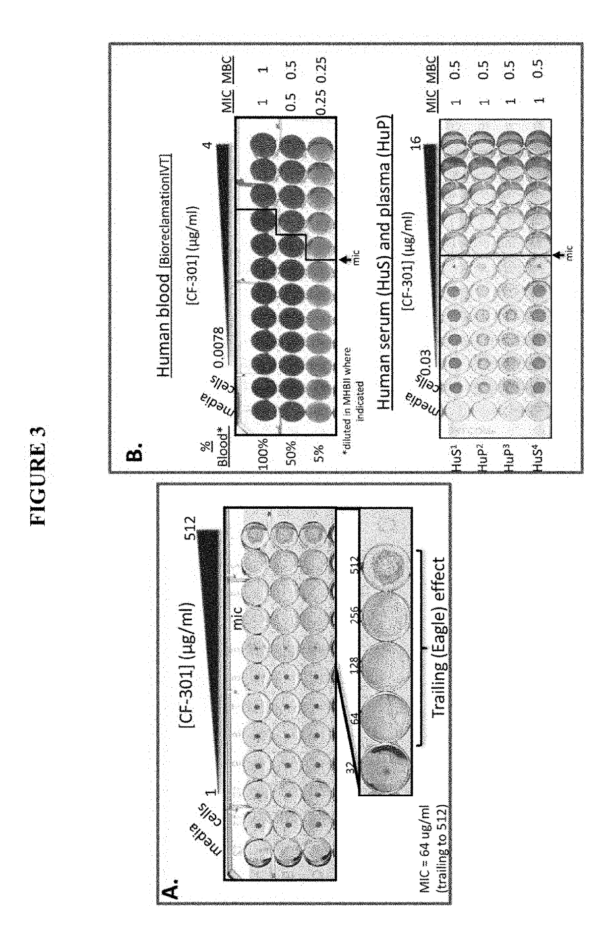 Broth microdilution method for evaluating and determining minimal inhibitory concentration of antibacterial polypeptides