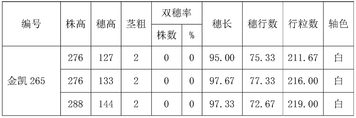 Planting method for identifying new corn strains and identification method for new corn strains