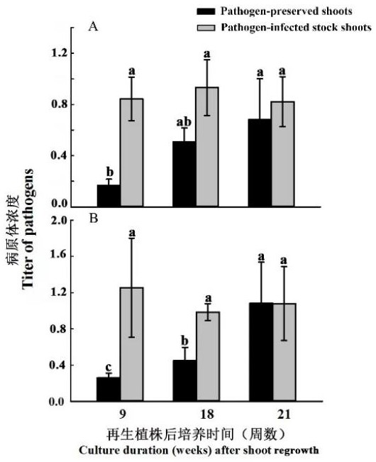 Method for storing potato viruses and viroid in host for long time at ultralow temperature