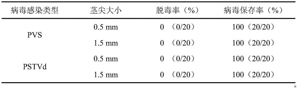 Method for storing potato viruses and viroid in host for long time at ultralow temperature