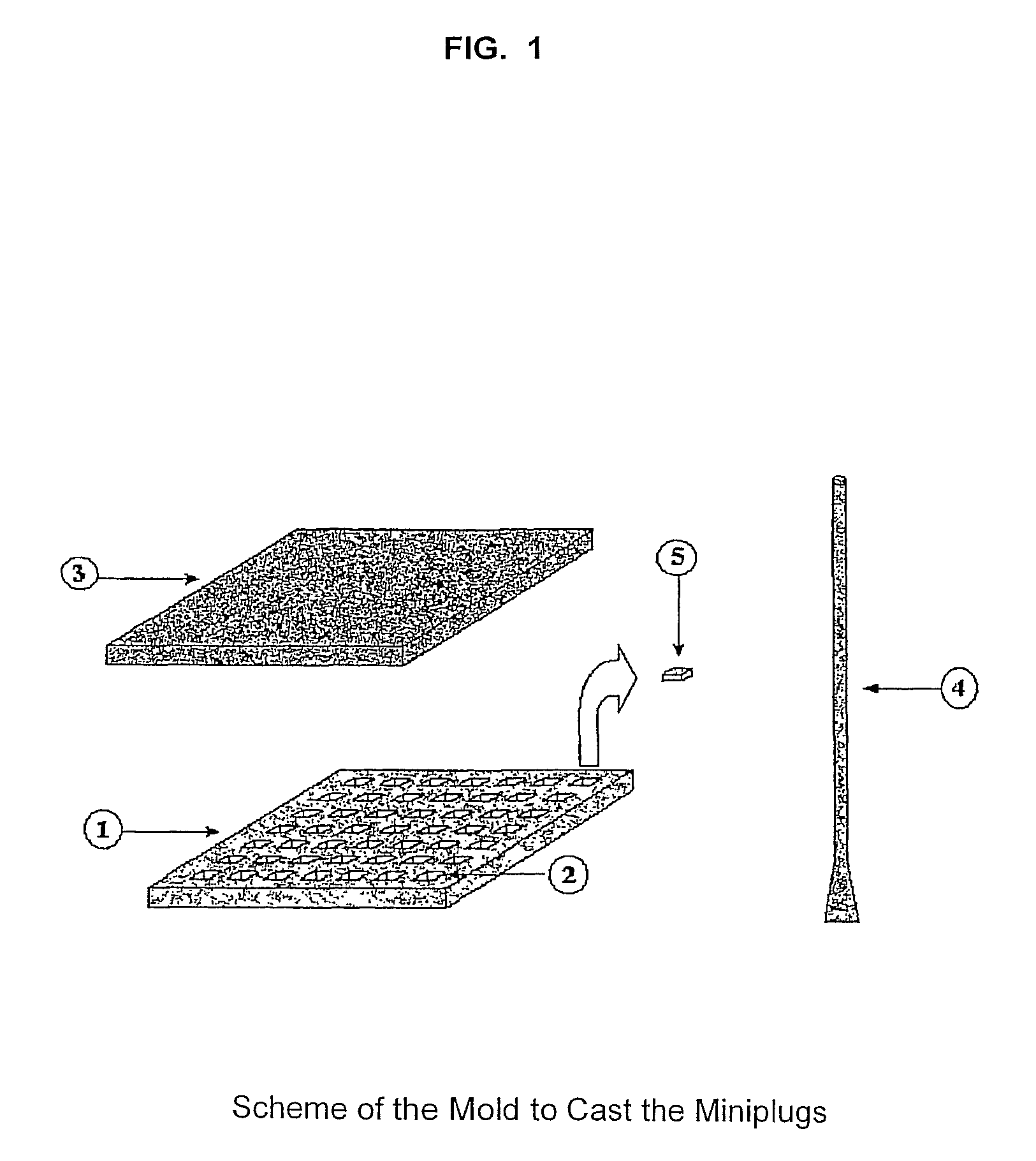 Method for rapid typification of microorganisms and set of reagents used