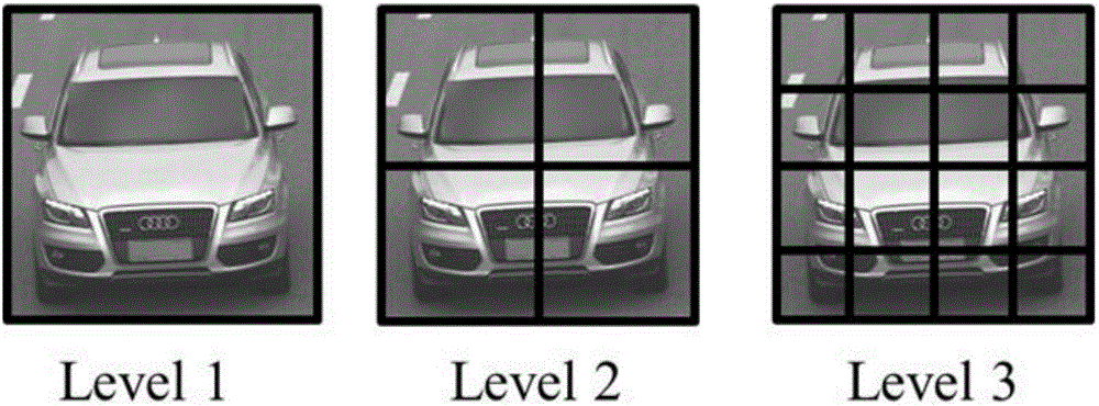 Vehicle brand model fine identification method and system based on depth learning