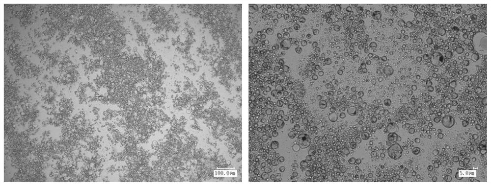 A kind of multiple emulsion and its preparation method and application