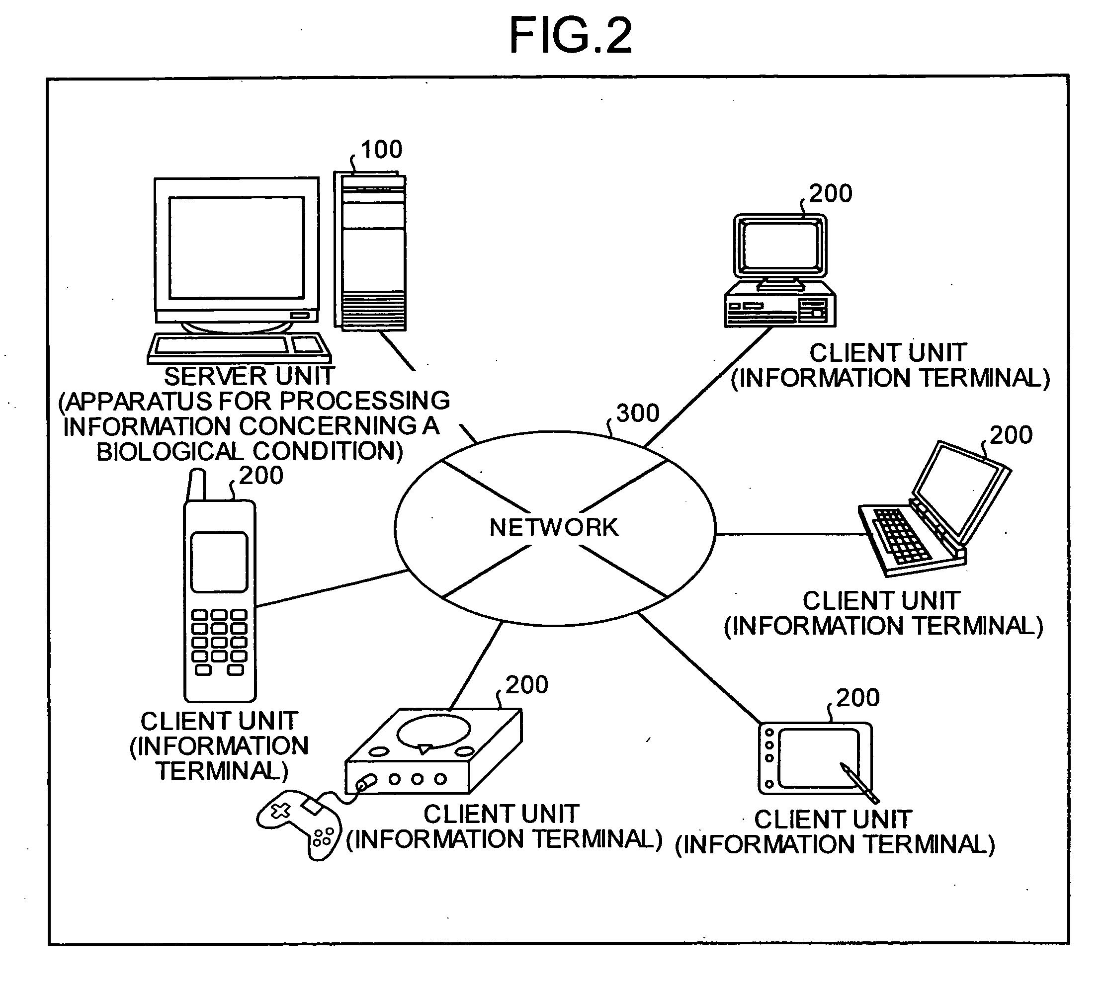 Apparatus and method for processing information concerning biological condition, system, program and recording medium for managing information concerning biological condition