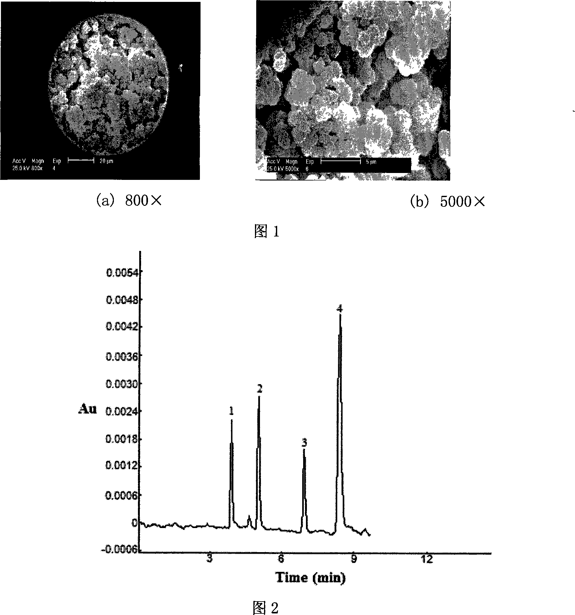 Raw material prescription of polar ion interchange electric chromatographic column and preparation thereof