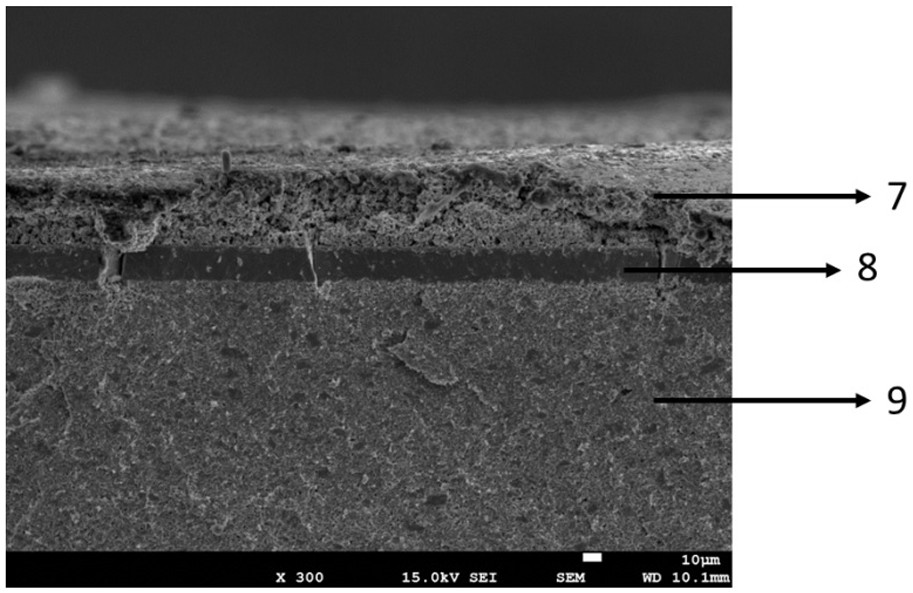 Zirconium-based anode-supported solid oxide battery without isolating layer